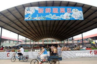 食用農(nóng)產(chǎn)品價(jià)格迎兩月來首次回落 市場供應(yīng)趨穩(wěn)信號顯現(xiàn)