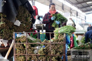濟南憑雙證才能賣韭菜 出問題直接找源頭，食用農(nóng)產(chǎn)品批發(fā)市場嚴把安全關(guān)